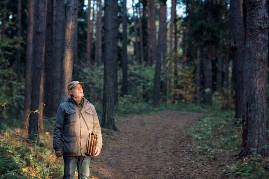 forester man conducts monitoring in pine national park. environmental Protection. forest industry