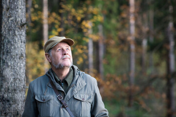 portrait of elderly man. forester conducts monitoring in pine national park. environmental...
