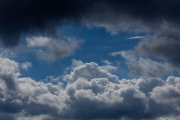 Fototapeta na wymiar White clouds fly in the sky