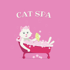 Cat spa