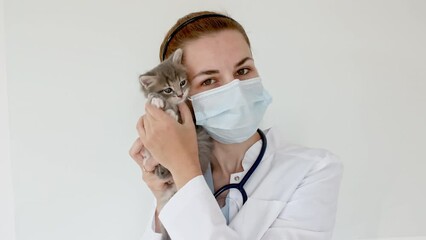 Striped gray cat in doctor hands. Kitten vet examining. Kitten pet check up, vaccination in veterinarian animal clinic.Health care domestic animal. Long Web banner Copy space. High quality 4k footage