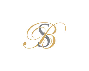 Letter S and B Logo Icon 001