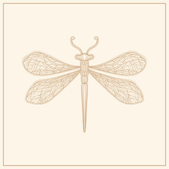Art nouveau style dragonfly insect basic element. 1920-1930 years vintage design. Symbol motif design.