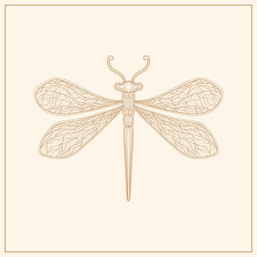 Art nouveau style dragonfly insect basic element. 1920-1930 years vintage design. Symbol motif design.