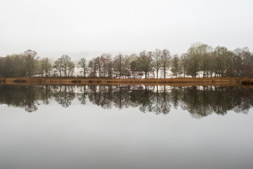 Gray weather by a lake with trees reflecting in the water