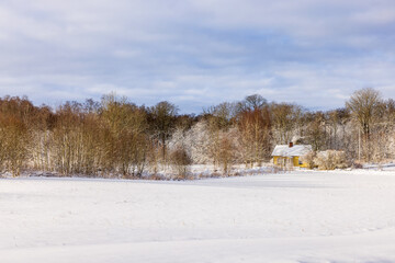 Cottage by the forest on a cold winter day