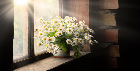 Bouquet of daisies on the windowsill