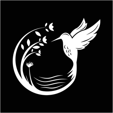 Humming bird illustrations