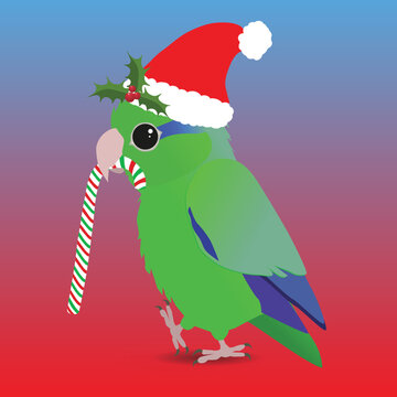 A digital vector illustration of a cute green parrotlet. He is wearing a Christmas hat and holding a candy cane. His hat is decorated whit holly.
He looks very cute.