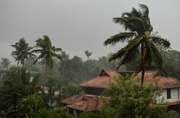 Fototapeta na wymiar Monsoon rain accompanied by heavy storm. Kerala flood time.