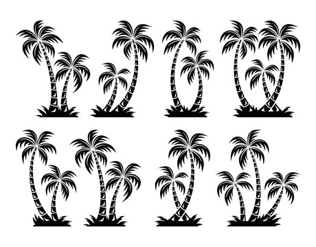 Tropical palm trees set, black silhouette isolated on white background. Vector.