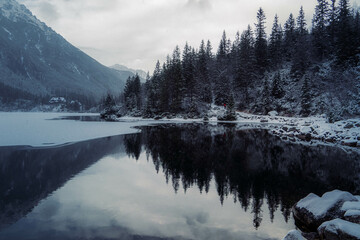 Fototapeta na wymiar Moody winter photo of a frozen lake surrounded by high mountains and pine trees