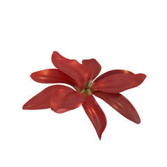 Naklejka premium autumn flower with transparent background fit for autumn and fall decoration