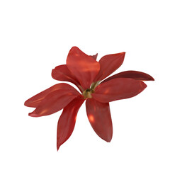 autumn flower with transparent background fit for autumn and fall decoration