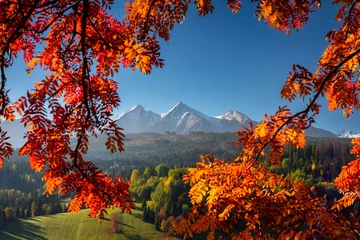 Photo sur Plexiglas Tatras Beautiful autumn with a red and yellow trees under the Tatra Mountains at sunrise. Slovakia