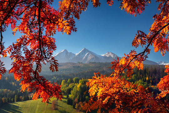 Fototapeta Beautiful autumn with a red and yellow trees under the Tatra Mountains at sunrise. Slovakia