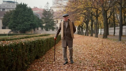 Old elegant man with walking stick on walk in park on autumn day