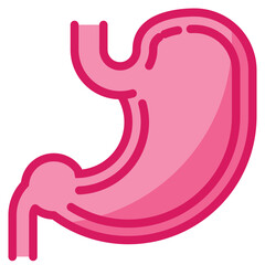 stomach