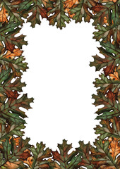 Rectangular frame of watercolor oak autumn leaves