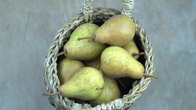 Pears in basket on a wooden background. Fruit harvest. Autumn still life. Pear variety Bera Conference. Vitamin food.