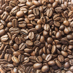 Obraz premium coffee beans background