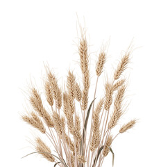 Wheat ears on transparent background. Celiac disease and gluten intolerance concept. Healthcare, healthy eating, healthy lifestyle, gluten free diet. 3D rendering.
