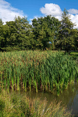 Idyllische Flusslandschaft an der Abens bei Bad Gögging in Niederbayern