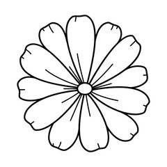 Doodle hand drawn daisy flower isolated on white background. Sketch chamomile top view. Line art vector illustration