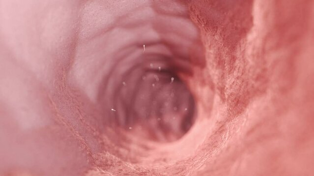 3d rendered medical animation of  sperms swimming towards an egg cell