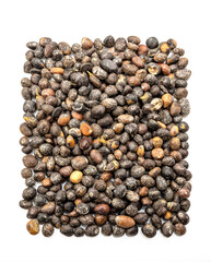 The palm kernel is the oil palm fruit. 
The fruit yields palm oil derived from the outer elements of the fruit, and palm kernel oil derived from the kernel