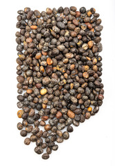 The palm kernel is the oil palm fruit. 
The fruit yields palm oil derived from the outer elements of the fruit, and palm kernel oil derived from the kernel