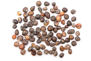 The palm kernel is the oil palm fruit. 
The fruit yields palm oil derived from the outer elements of the fruit, and palm kernel oil derived from the kernel