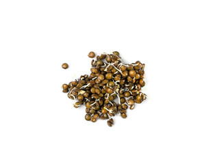 Lentils Sprouts, Sprouted Black Lentil Grains, Dal, Daal, Dhal, Masoor
