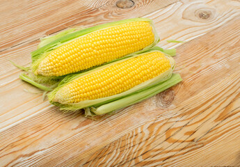 Sweet Corn Ears on Wooden Desk