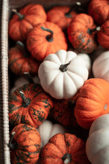 Decorative pumpkins on wooden table on orange background. Harvest, Thanksgiving Day banner design.