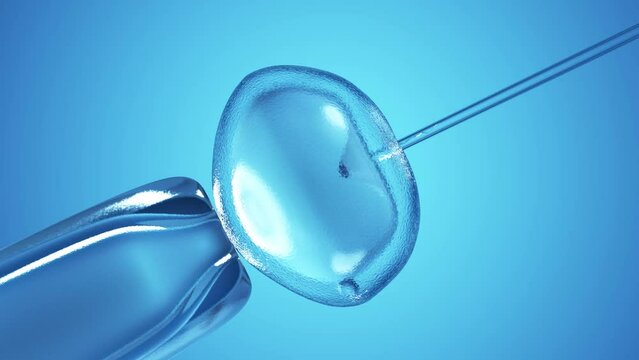 3d rendered medical animation of  an IVF