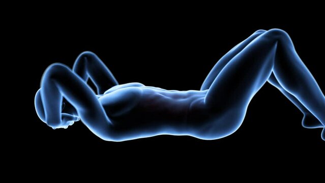 3d rendered medical animation of  a man doing crunches