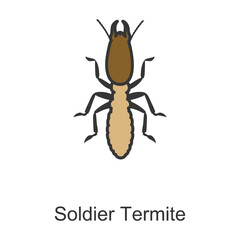 Soldier termite vector icon.Color vector icon isolated on white background soldier termite.