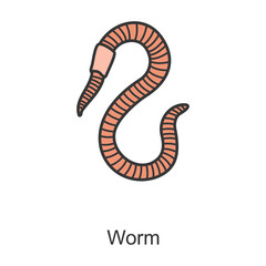 Earthworm vector icon.Color vector icon isolated on white background earthworm.