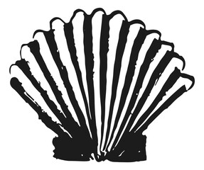 Cockle shell. Sea animal in hand drawn style. Exotic beach symbol