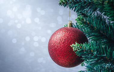 Red Christmas decoration on a tree branch against blue defocused lights with copy space.