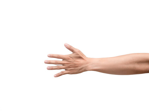 Skin Of Man Hand Isolated,Male Arm White Background