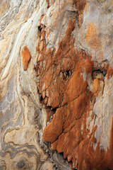 Natural rock texture with a monster face of a colorful rock formations 
