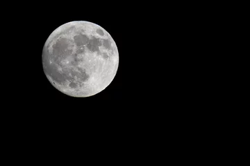 Fototapeten Vollmond // Full moon (13.06.2022) © bennytrapp