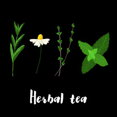 Herbal mint, chamomile, thyme, stevia illustration on black background - obrazy, fototapety, plakaty