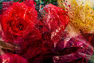 Water drops on a transparent film after rain. the flowers are visible under the film. Theme: bright advertising background