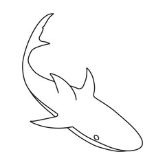 Shark vector icon.Outline vector icon isolated on white background shark.