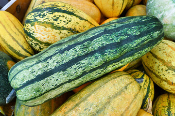 Green Delicata squash with stripes