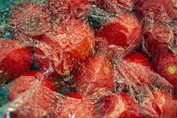 Textured background of freshly picked tomatoes under glass or film with water drops