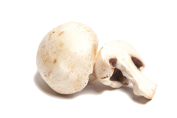 Fototapeta premium Champignon Mushroom isolated on white background